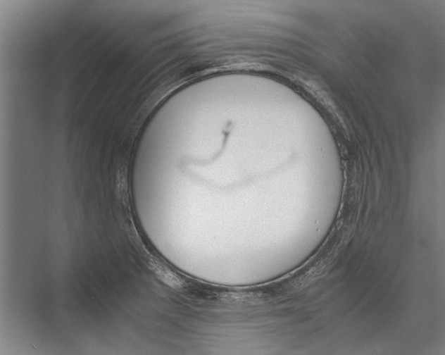 X0000075411281200610061948