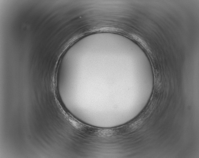 X0000075411282200610061948