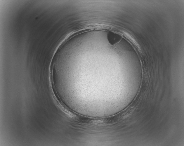 X0000075411283200610061948