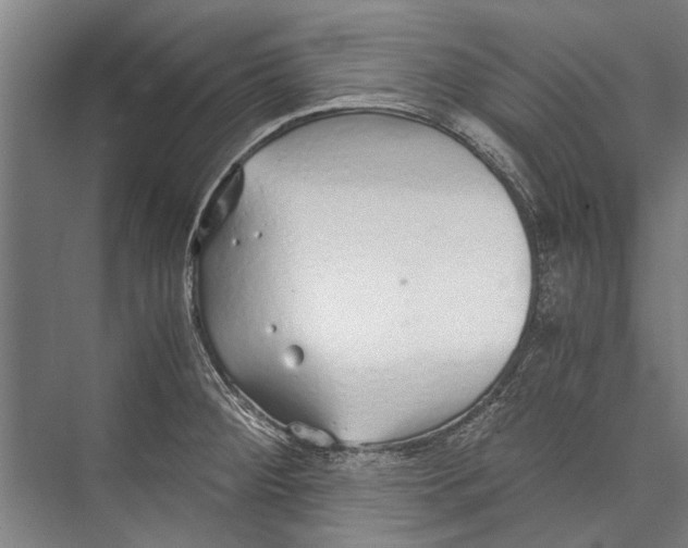 X0000075411284200610061948