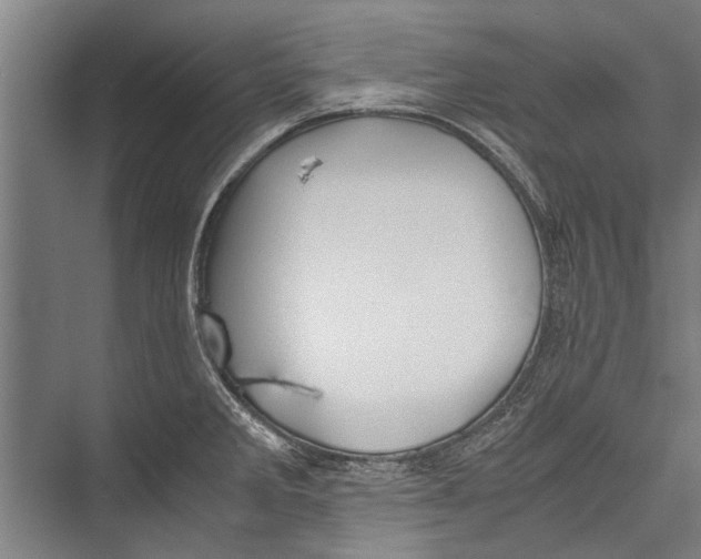 X0000075411285200610061948