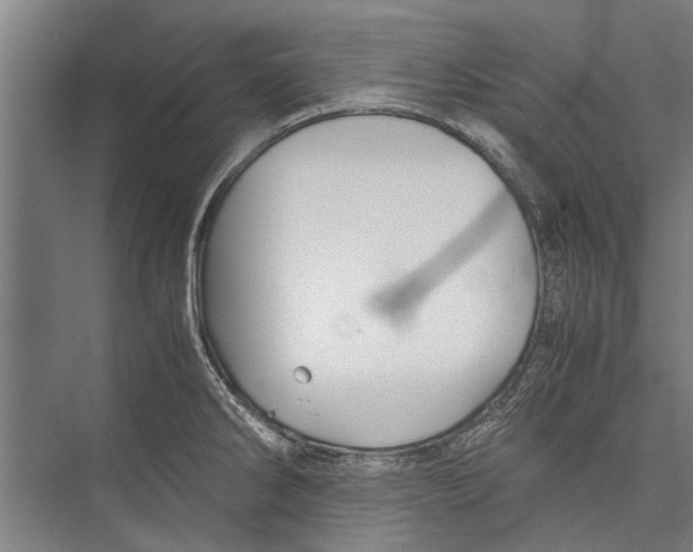 X0000075411286200610061948