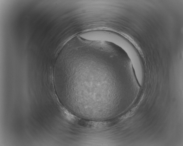 X0000075411289200610061948