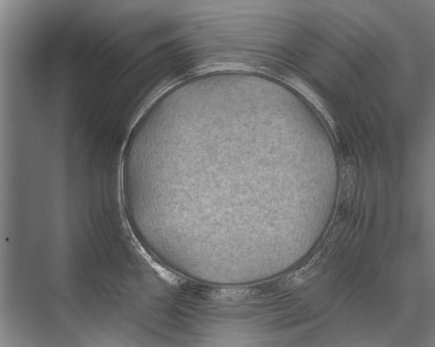 X0000075411290200610061948