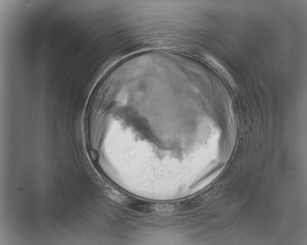 X0000075411291200610061948