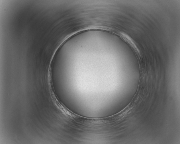 X0000075411292200610061948