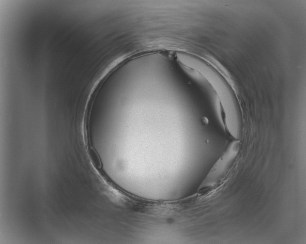 X0000075411293200610061948