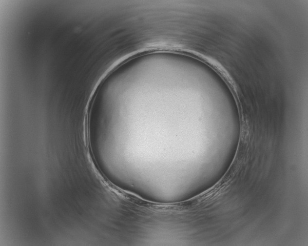 X0000075411295200610061948