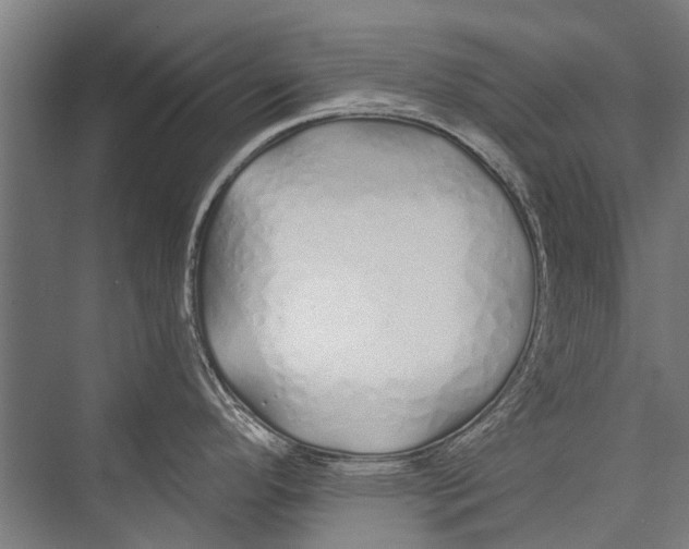 X0000075411296200610061947