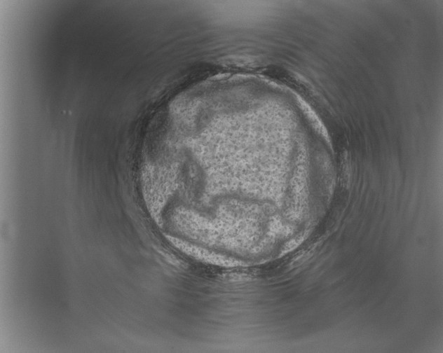 X0000075411297200610061947