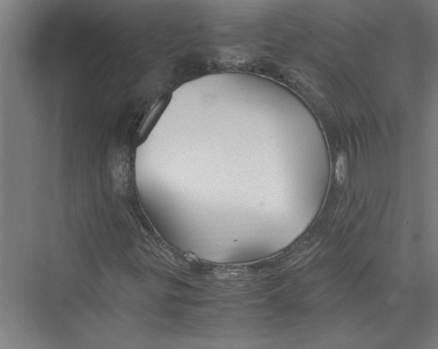 X0000075411299200610061947