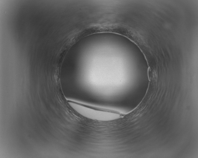 X0000075411300200610061947