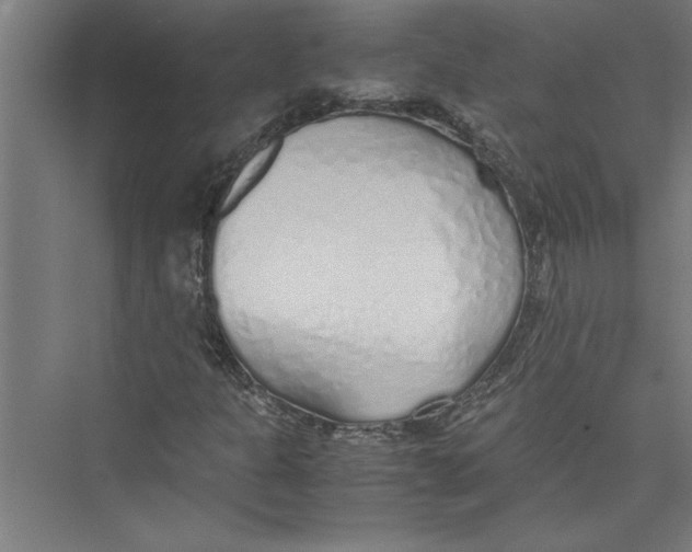 X0000075411301200610061947