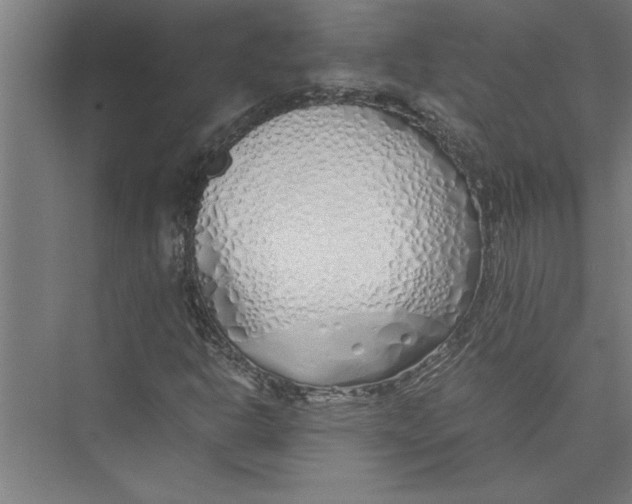 X0000075411302200610061947