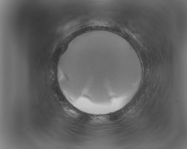 X0000075411303200610061947