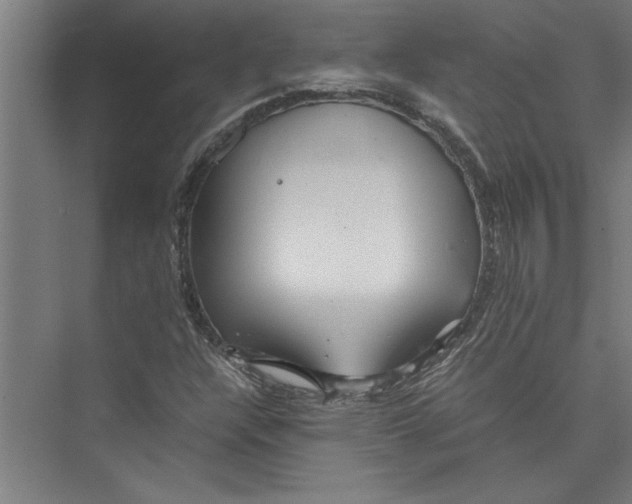 X0000075411304200610061947