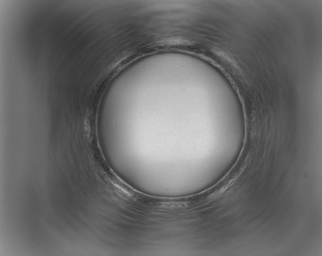 X0000075411305200610061947