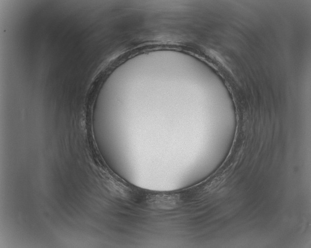 X0000075411307200610061947