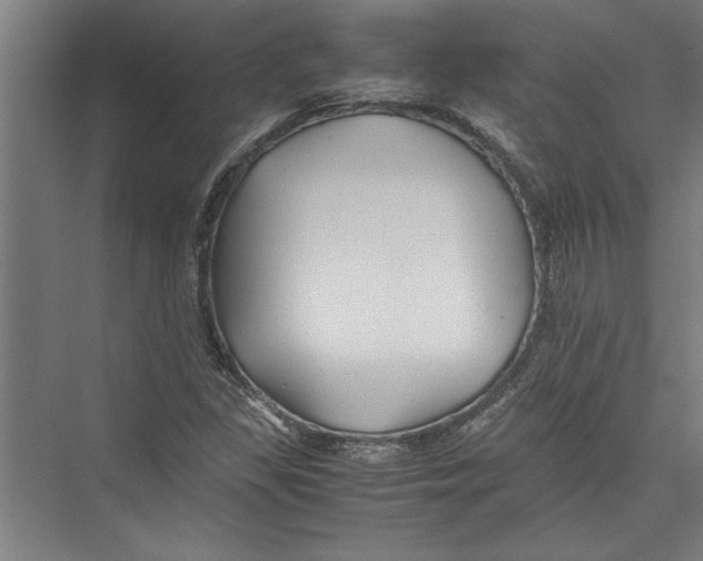 X0000075411309200610061947