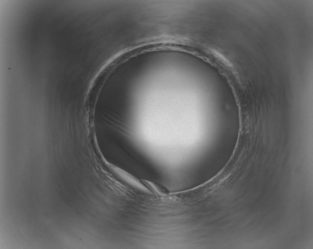 X0000075411310200610061947