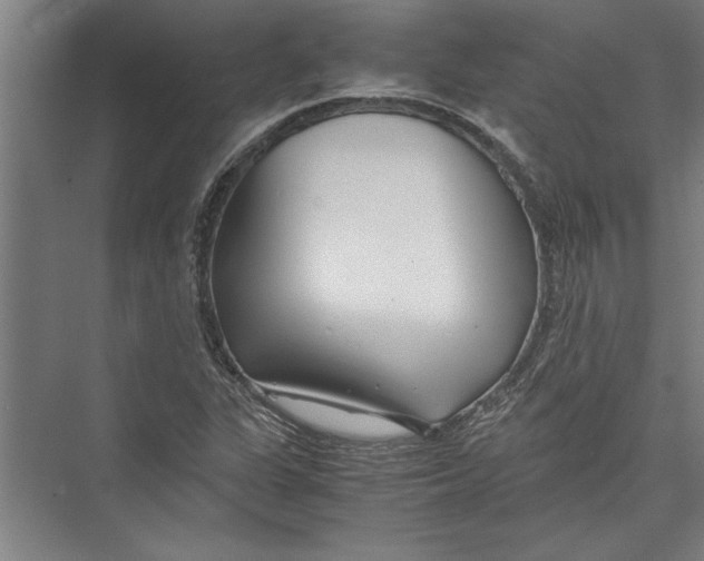 X0000075411311200610061947