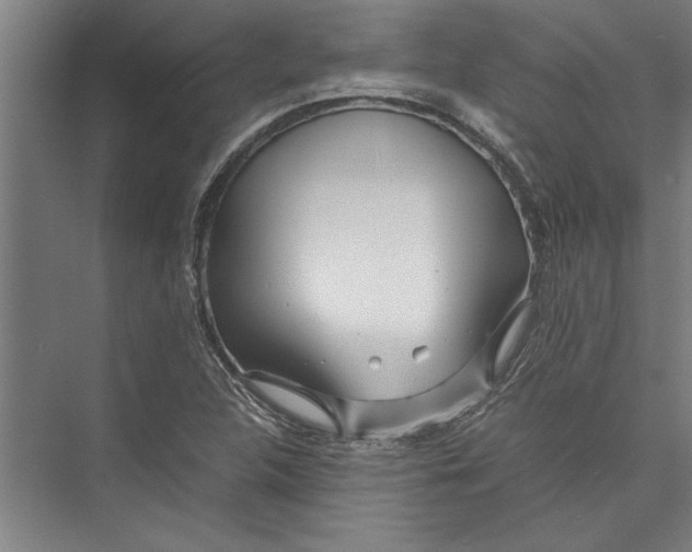 X0000075411312200610061947