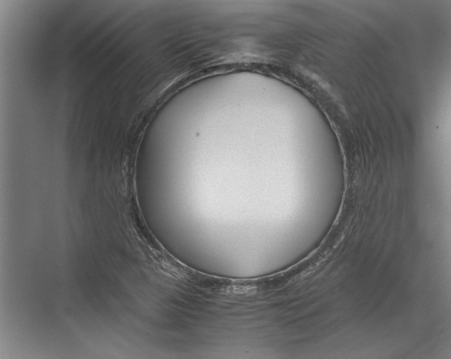 X0000075411313200610061947