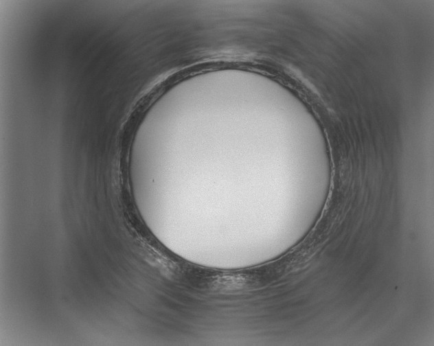 X0000075411315200610061947