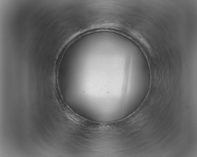 X0000075411316200610061947