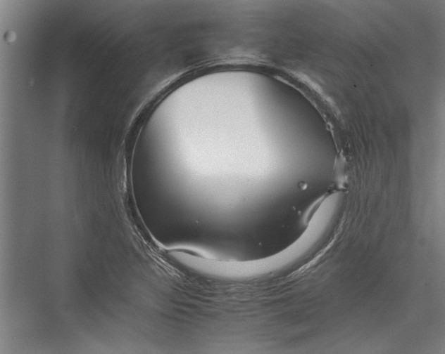 X0000075411317200610061947