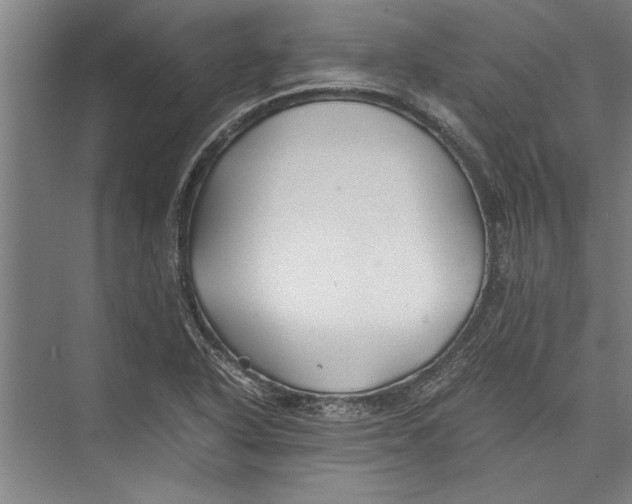 X0000075411318200610061947