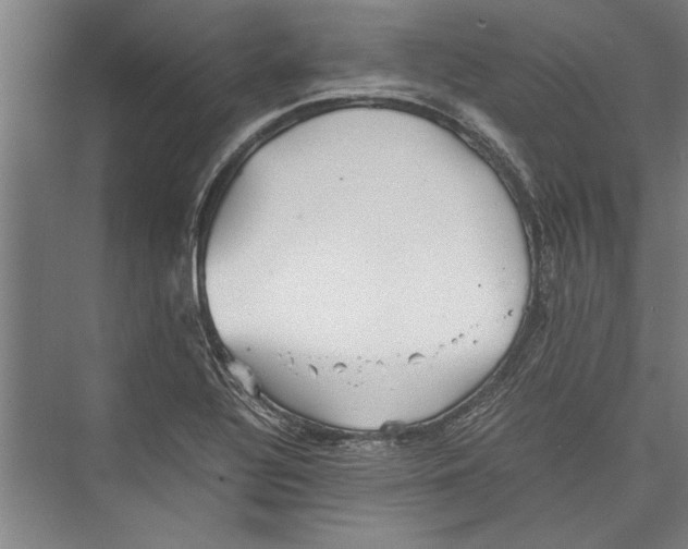 X0000075411320200610061947