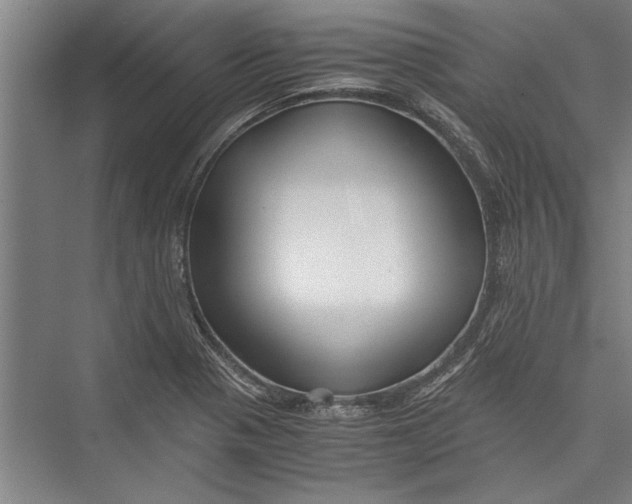 X0000075411321200610061947