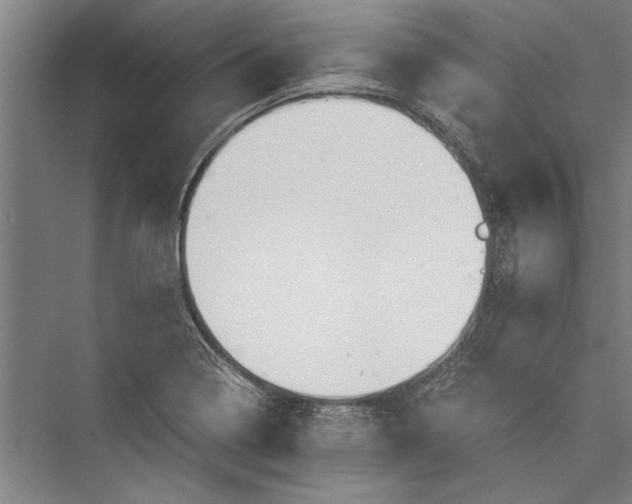 X0000075411322200610061947