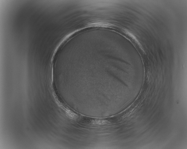 X0000075411323200610061947