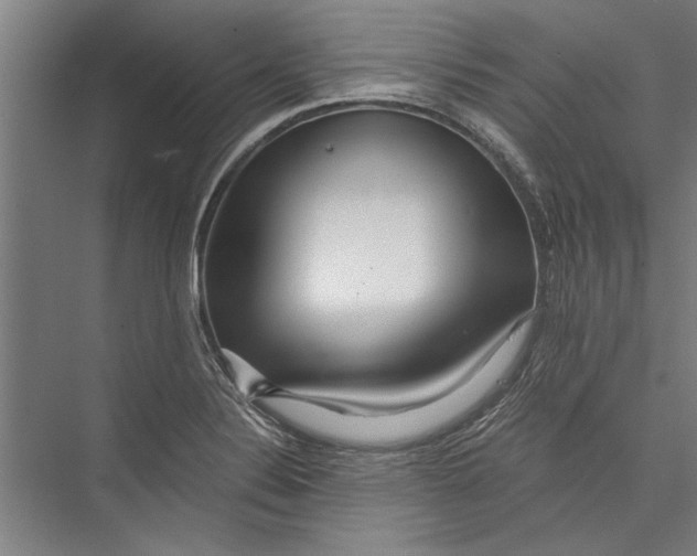 X0000075411324200610061947