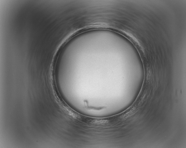 X0000075411325200610061947