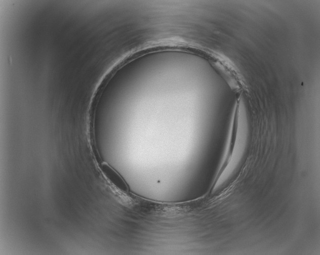 X0000075411326200610061947