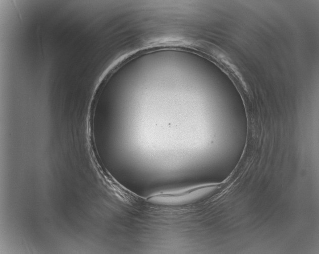 X0000075411328200610061947