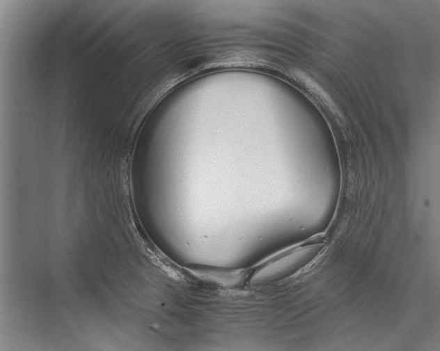 X0000075411329200610061947