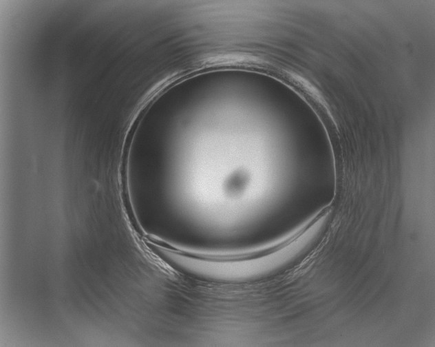 X0000075411330200610061947