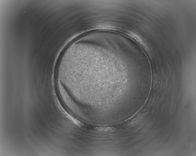 X0000075411331200610061947