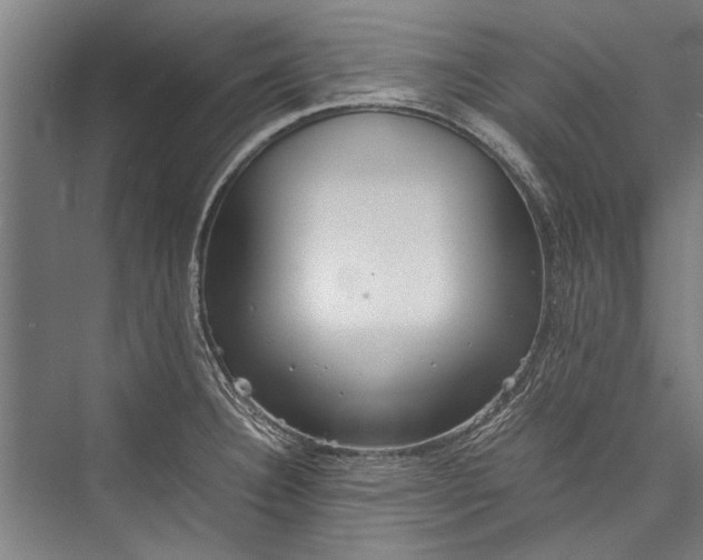 X0000075411332200610061947