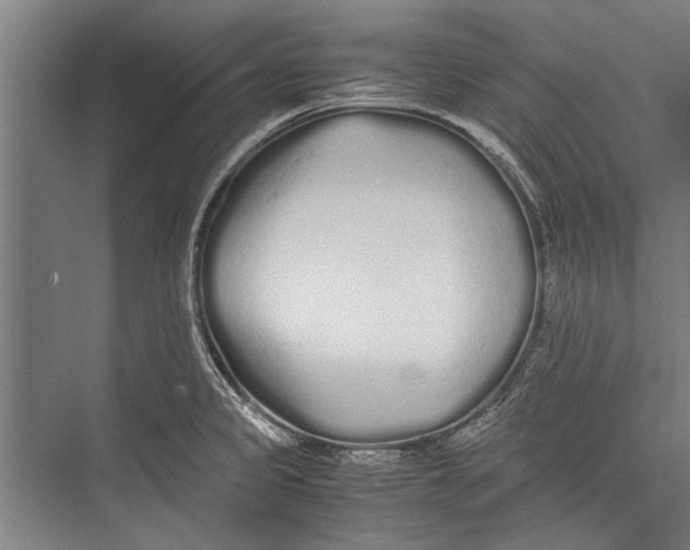 X0000075411333200610061947