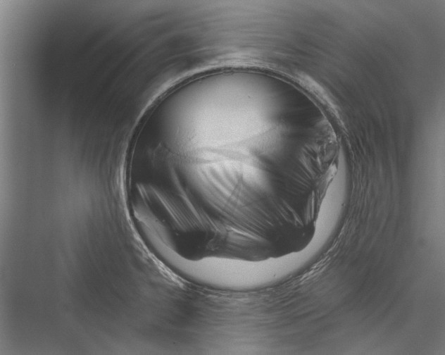 X0000075411334200610061947