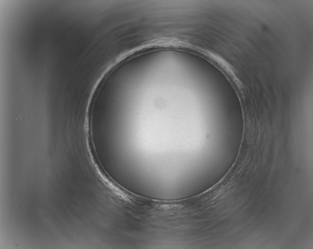 X0000075411335200610061947