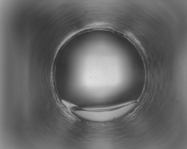 X0000075411336200610061947