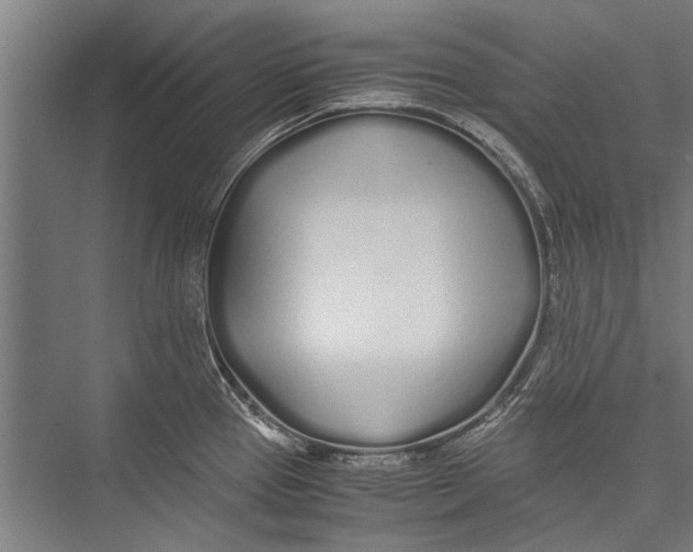 X0000075411337200610061947