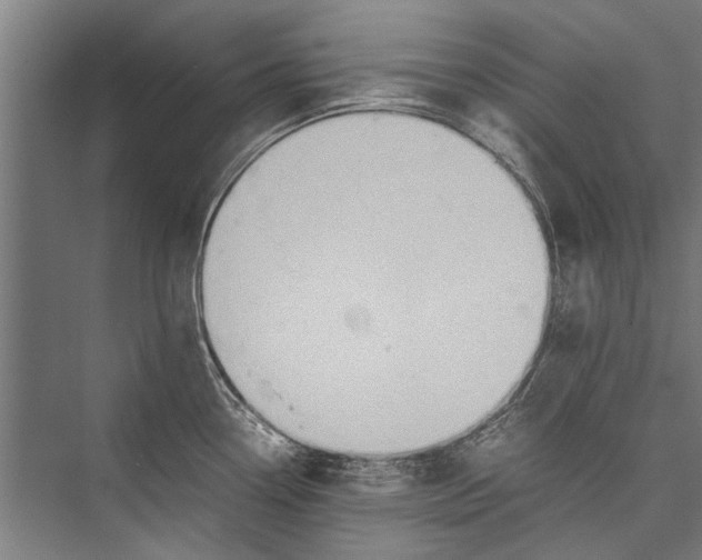 X0000075411338200610061947