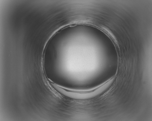 X0000075411340200610061947